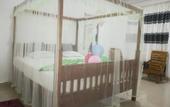 Туры в отель Turtle Paradise
