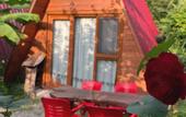 Туры в отель Tabiat Bungalows
