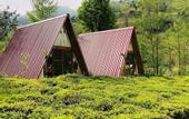 Туры в отель Tabiat Bungalows