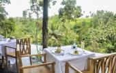 Туры в отель Amora Ubud Boutique Villas