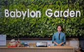 Туры в отель Babylon Garden Condotel