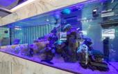 Туры в отель Отель B your home Hotel Donmueang Airport Bangkok