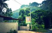 Туры в отель Rockview Holiday Bungalow