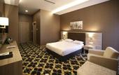 Туры в отель Hotel Excellence Inn