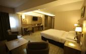 Туры в отель Hotel Excellence Inn