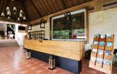 Туры в отель Hotel Puriartha Ubud