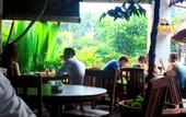 Туры в отель Hotel Puriartha Ubud