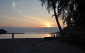 Туры в отель Samui Honey Backpacker Bungalow