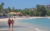Туры в отель Samui Honey Backpacker Bungalow