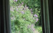 Туры в отель Guesthouse Kuin Kotonaan