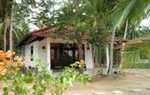 Туры в отель Chill Enjoy Cabanas & Restaurant
