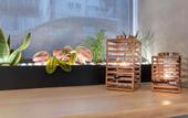 Туры в отель Acropolis Stay