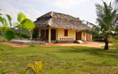 Туры в отель Elements Beach & Nature Resort