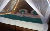 Туры в отель Elements Beach & Nature Resort