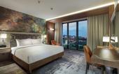 Туры в отель Hilton Garden Inn Yalova
