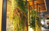 Туры в отель W Station