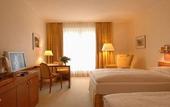 Туры в отель Grand Elysee