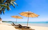 Туры в отель Alpha Resort & Spa