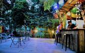 Туры в отель Alpha Resort & Spa