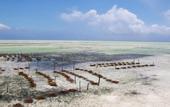 Туры в отель Ujamaa Beach Resort Zanzibar