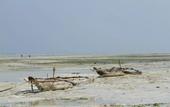 Туры в отель Ujamaa Beach Resort Zanzibar
