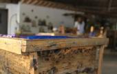 Туры в отель Ujamaa Beach Resort Zanzibar