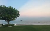 Туры в отель The Che Pool Access Beachfront Condo by Away