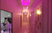 Туры в отель Midtown Hostel
