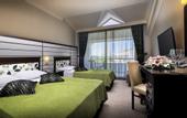 Туры в отель Rox Royal Hotel