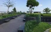 Туры в отель The Astra Luxury Suit condo