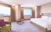Туры в отель Hyatt Regency Galleria Residence Dubai