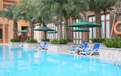 Туры в отель Mangrove Tree Resort World Sanya Bay Coconut Tree Hotel