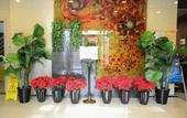 Туры в отель Guantong Modern Hotel (Beijing Qianmen)