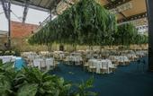 Туры в отель Tsinandali Estate, A Radisson Collection Hotel
