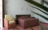 Туры в отель Zdravets Hotel Wellness & SPA