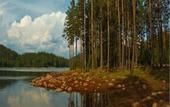 Туры в отель Zdravets Hotel Wellness & SPA