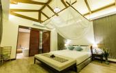 Туры в отель Triple Tree Beach Resort