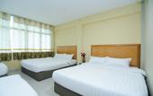 Туры в отель Hotel Raja Bot