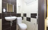 Туры в отель Hotel Raja Bot