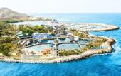 Туры в отель Crown Villas, All-Inclusive