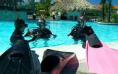 Туры в отель Crown Villas, All-Inclusive