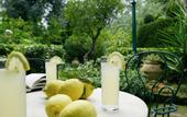 Туры в отель Grand Hotel Ambasciatori Sorrento