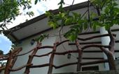 Туры в отель Sigiriya Danu homestay