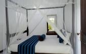 Туры в отель Sigiriya Danu homestay