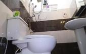 Туры в отель Sigiriya Danu homestay