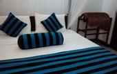 Туры в отель Sigiriya Danu homestay