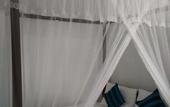 Туры в отель Sigiriya Danu homestay