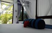 Туры в отель Sigiriya Danu homestay