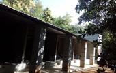 Туры в отель The Saliyawewa Cabins