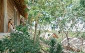 Туры в отель The Mesare Resort